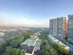 Thomson View Condominium (D20), Condominium #591561441